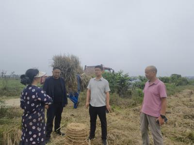 秸秆不再愁 夷陵综合利用带动农户增收