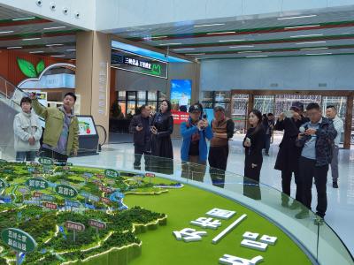 “同心奋进 寻美夷陵”——走近新兴发展能量场