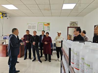 重阳话发展：忆供销岁月 看今朝新貌