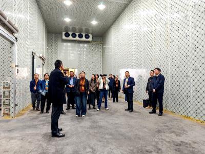 “宜昌蜜桔”产销大会现场观摩会在夷举办