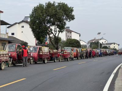 卖橘长龙路边绕，齐心协力保安全