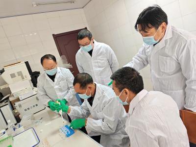 夷陵在布病防控中创新应用荧光微球快检技术