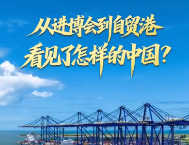 壹视界·任平文章解读｜从进博会到自贸港，看见了怎样的中国？
