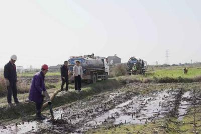 粪肥还田润福地 种养循环促丰收