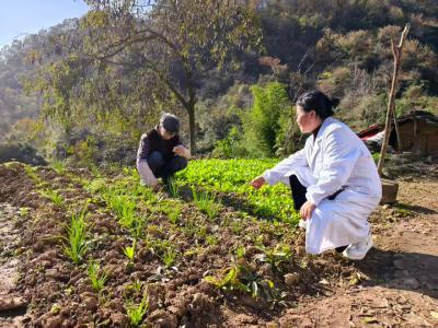 寒风中的“健康暖阳”——记乐天溪镇唐家坝村家庭医生陶玉华