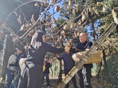 红纽带牵村社 暖行动促农兴