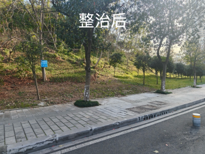 整治毁绿种菜 推动还绿于民​