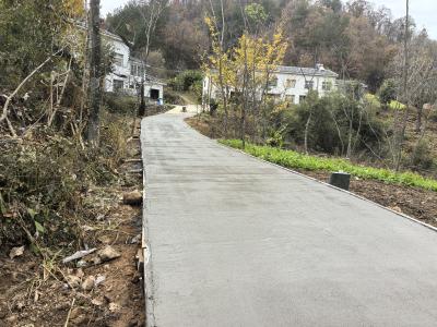 樟村坪镇桃坪河村：从 “泥水路”到 “水泥路” 道路升级惠民生