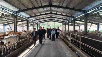 凝聚联村共建合力 激发乡村振兴动能