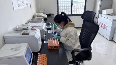 邓村乡高效运用荧光微球快检技术 筑牢牛羊布病防控屏障