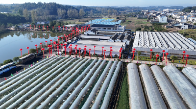 农旅融合焕新颜 嘉馥农场开门迎客赋能乡村振兴