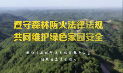遵守森林防火法律法规 共同维护绿色家园安全