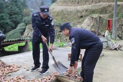 送证上门暖民心 田间助农显担当