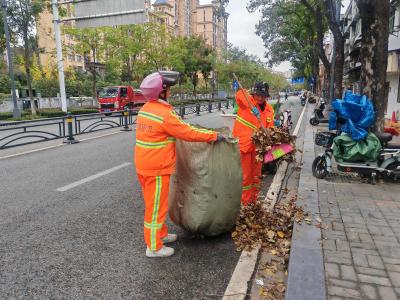 落叶清理见实效 洁净环境助营商