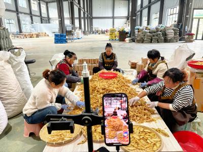 田间直播间+工厂加工线 下堡坪天麻“双线”旺销忙