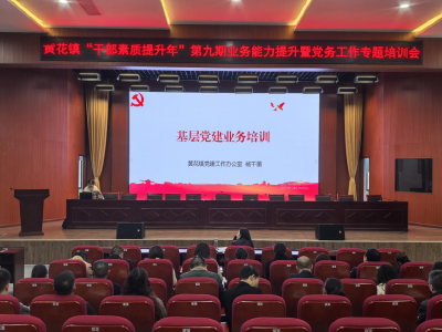 固本强基增本领 规范管理促发展