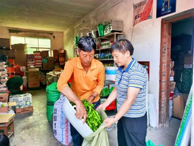 从大山深处到“菜篮子”守护者：王克清的巾帼创业路