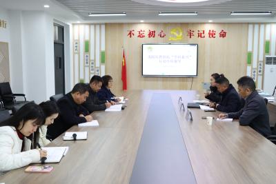 专项视导强赋能 教研提质促发展