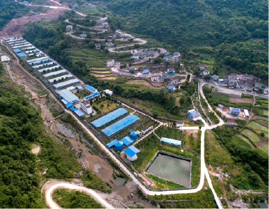 夷陵区开展种畜禽生产经营许可评审