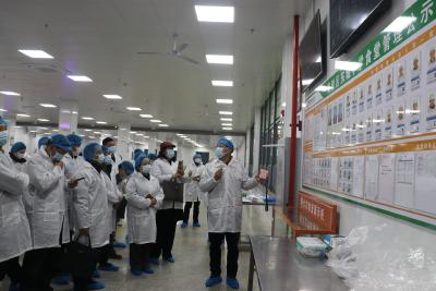 夷陵区高标准推进“校园餐”专项整治工作