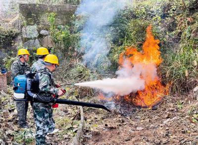 三斗坪镇联合开展森林防火应急演练
