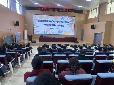 家校携手育新苗 赋能衔接助成长