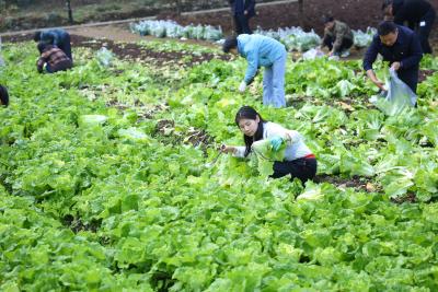 夷陵人民医院：党建引领践初心 劳动实践暖人心