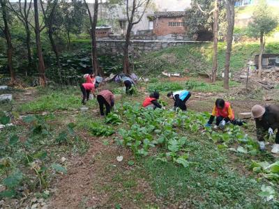 聚力清除白色污染 携手共建绿色望江