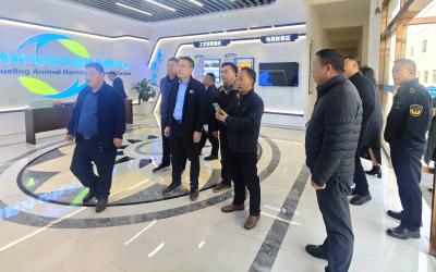 夷陵迎接国家级兽医体系“深度体检”