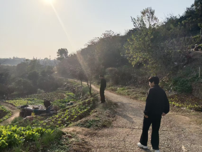 巡查防控并举，守护蓝天净土