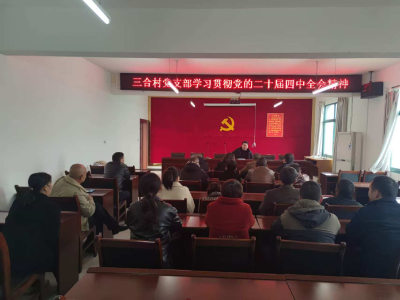 鸦鹊岭镇三合村：深学细悟 共话发展