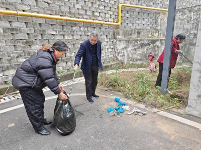 党员带头齐行动 清洁家园焕新颜