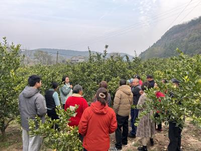 深入基层砺作风  锤炼党性促成长