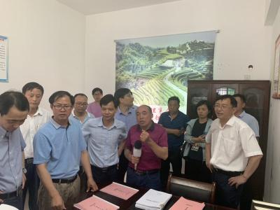 中岭新风润山岭