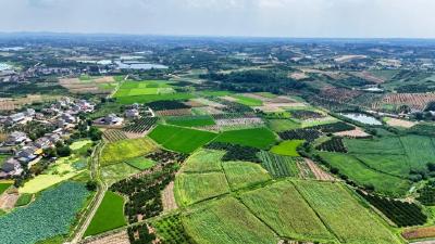 田成片、渠相通、路相连！夷陵沃野焕新颜