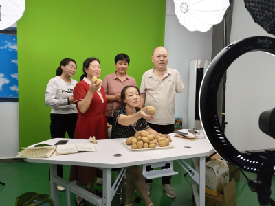 “培”固夷陵前行锚 “训”引就业新航向