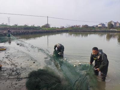 鸦鹊岭镇：渔获盈仓喜 乡村梦路宽