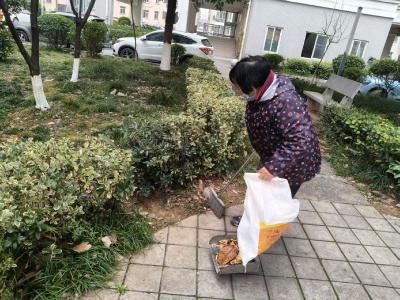 扮靓家园齐参与 文明整洁迎元旦