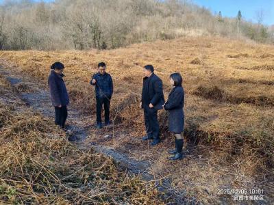 “5号见”活动实地考察 赋能李子园产业高质量发展