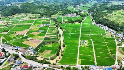 【提案追踪】社会化组织赋能现代农业