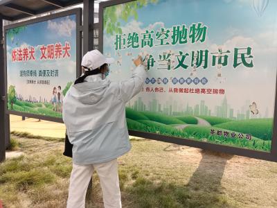 凝聚志愿力量 擦亮社区底色