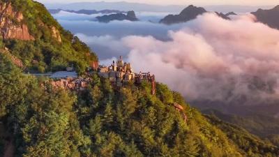 一瞬灵动，一曲森林：大老岭以镜头礼赞生命，三作品揽获殊荣