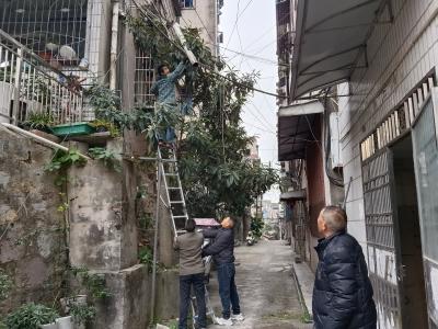 网格守护不缺位 安全隐患全清零