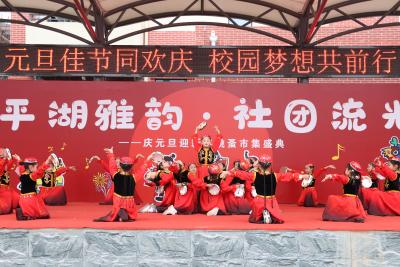 平湖雅韵庆元旦 艺彩市集启新程
