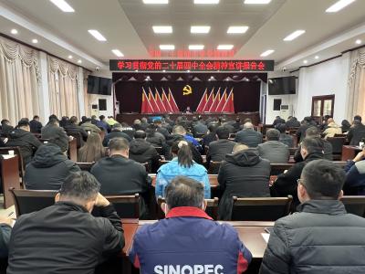 龙泉镇举行学习贯彻党的二十届四中全会精神宣讲报告会