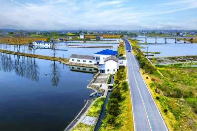 从“生态痛点”到“治理亮点”：玛瑙河流域的绿色蜕变