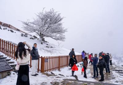 高铁“引燃”元旦文旅热 夷陵喜迎新年“开门红”