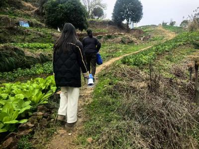 织密生态防护网 绘就宜居新画卷