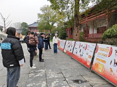 夷陵区博物馆推出《马舞新春——丙午马年全球生肖文化大联展》