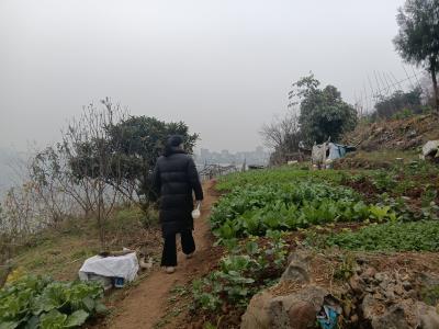 冬日巡查不停歇 秸秆禁烧守平安